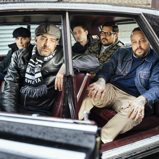 STREET DOGS